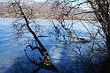 Lago Piccolo di Avigliana ghiacciato_009